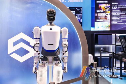 機(jī)器人生活秀 數(shù)量超60款，數(shù)貿(mào)會展現(xiàn)科技專業(yè)新圖景