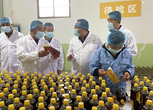 天津市甘肅商會赴武山縣考察，共探農(nóng)產(chǎn)品與工藝品產(chǎn)銷合作新機遇